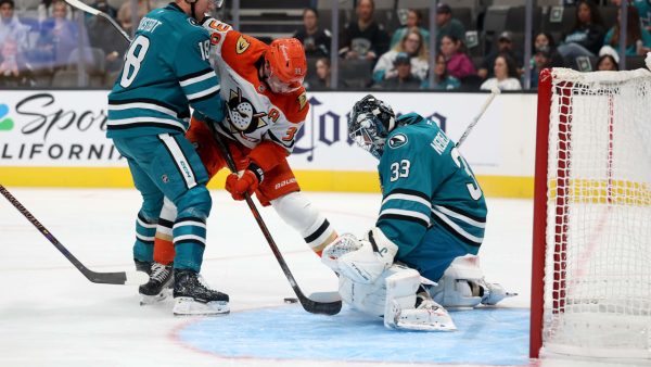 Nedelijkovic posts clean sheet against Ducks