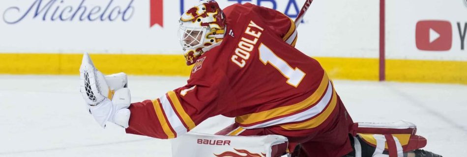 NHL Status Report: Cooley week to week for Flames